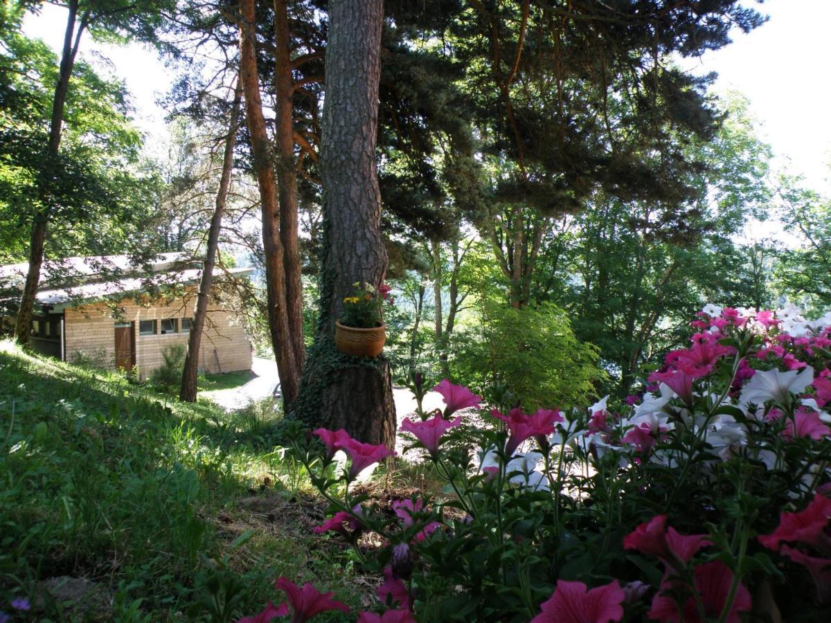 Le Grand Val Bed and Breakfast Lavastrie Εξωτερικό φωτογραφία